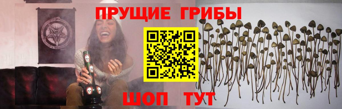 Галлюциногенные грибы мухоморы  Вход с VPN  Галлюциногенные грибы мухоморы  Донской 