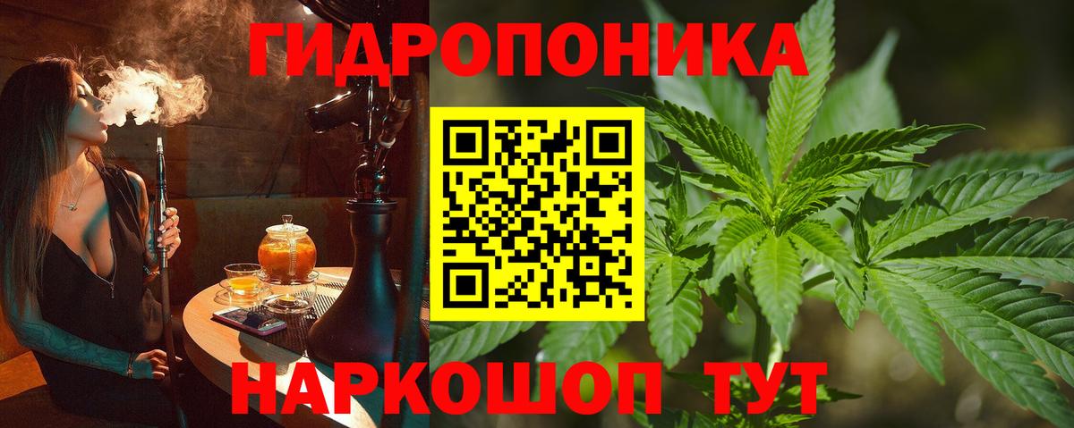 Конопля план Донской